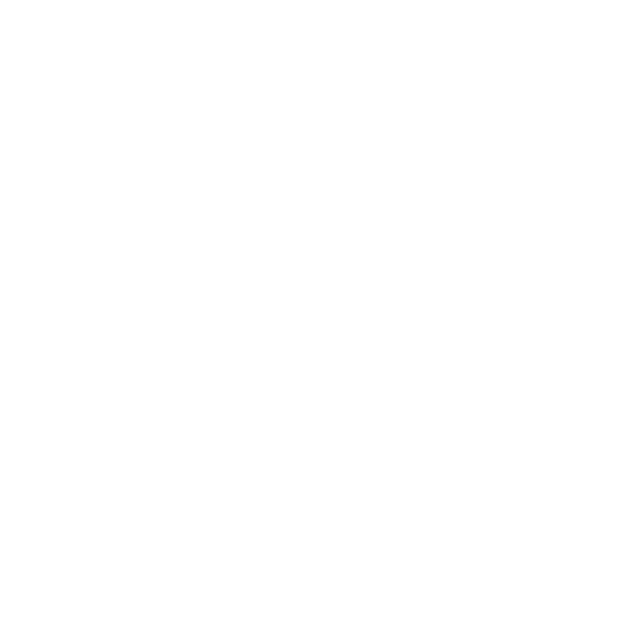 Virtus Advisory Logo