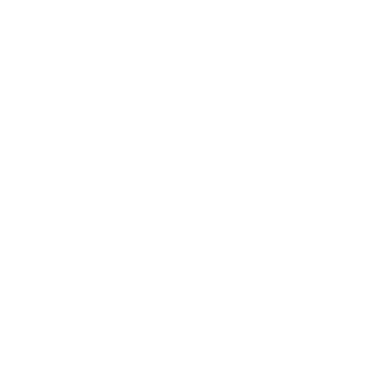 Virtus Advisory Logo